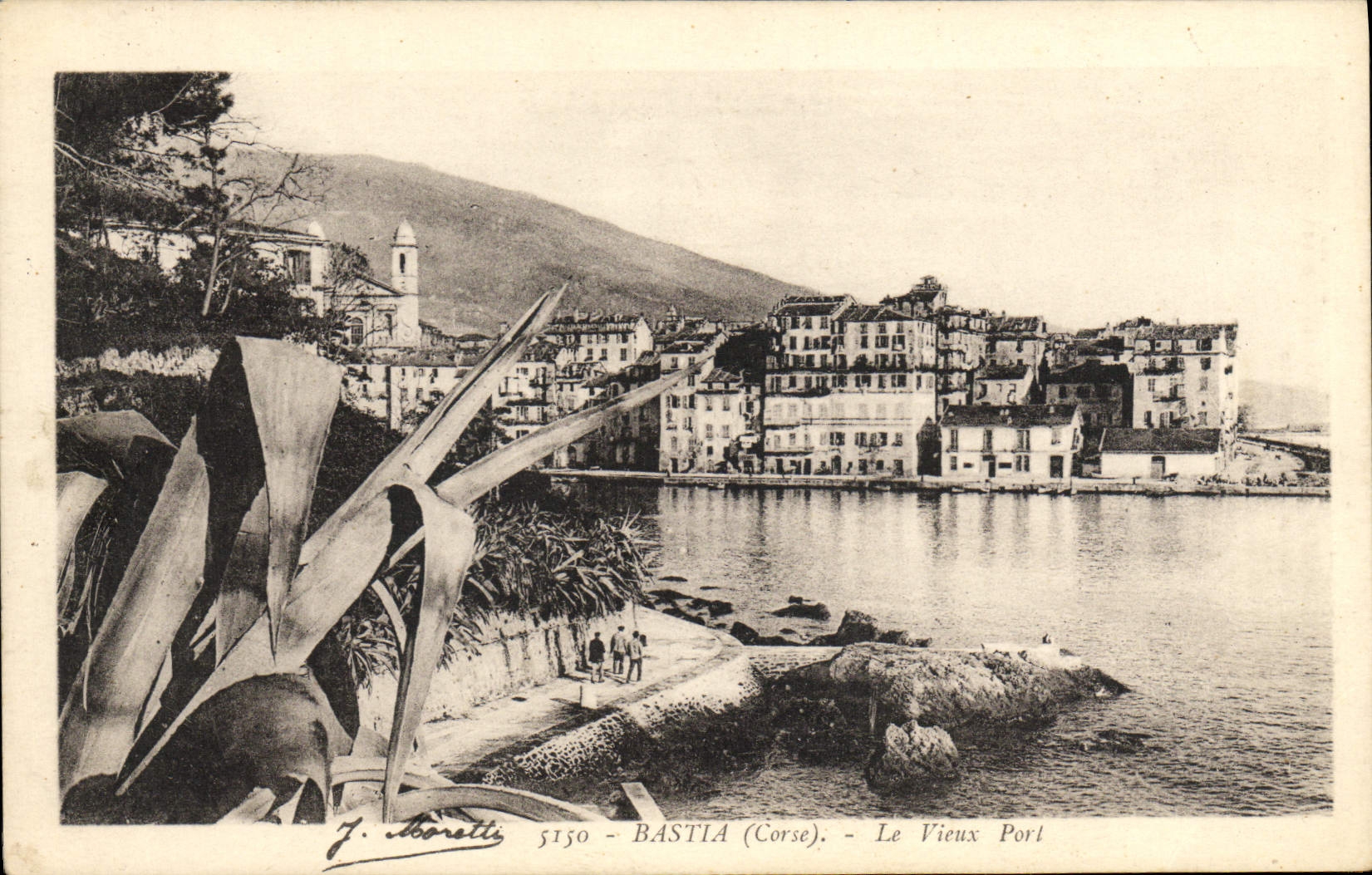 POSTAL Bastia de la VENDIMIA el puerto viejo Córcega de Córcega