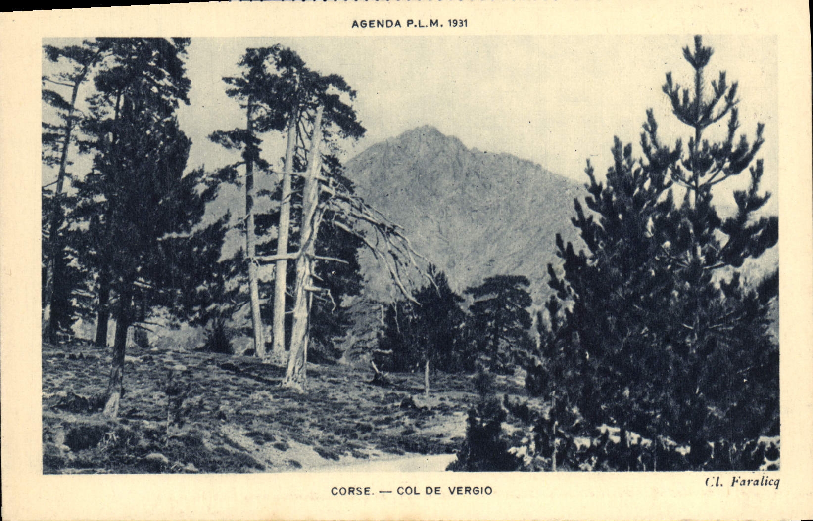 Collar de Córcega de la POSTAL de la VENDIMIA de Córcega Vergio Córcega