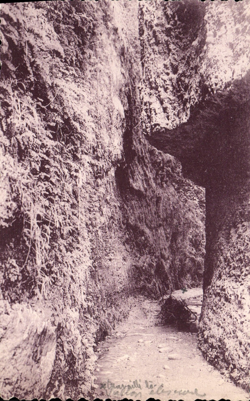 CPA Nice Le Vallon Obscur 