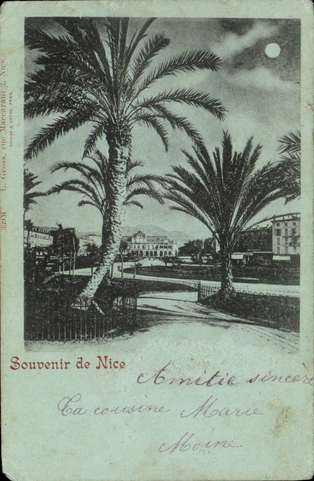 CPA Souvenir de Nice Palmier