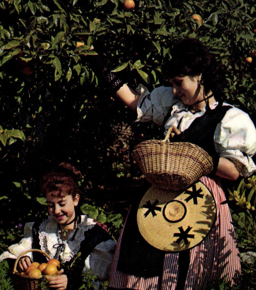 MODERN CARD Marvellous Sites of the Dimension of Azure the Gathering of Oranges