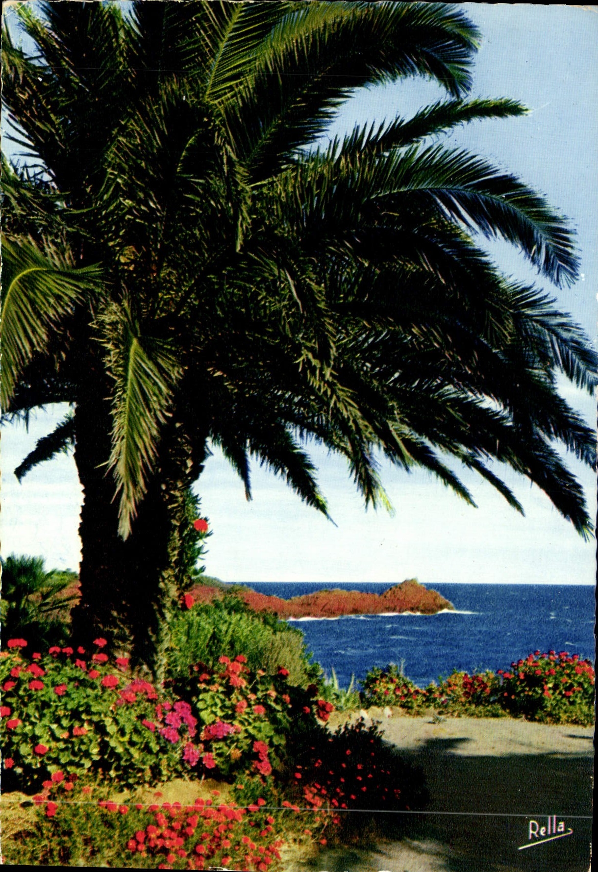 CPM La Cote d'Azur Jardin Fleuri au Bord du Rivage 