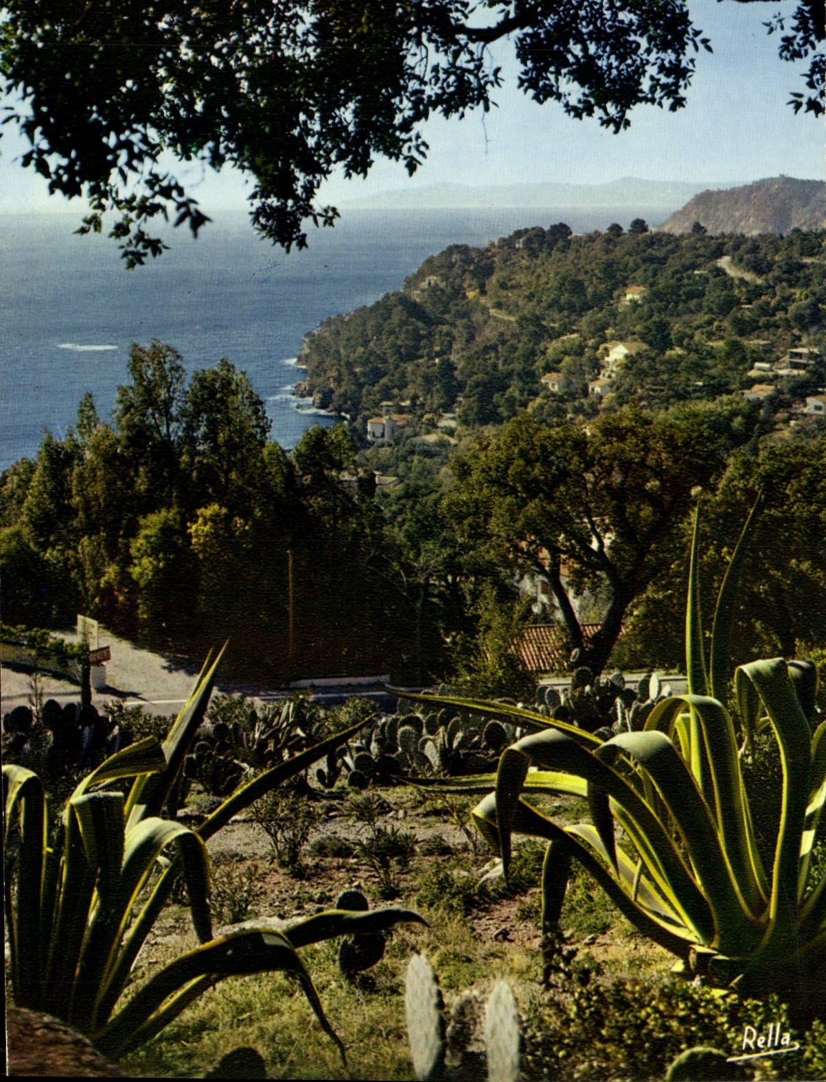 CPM La Cote D'Azur Un Coin Typique