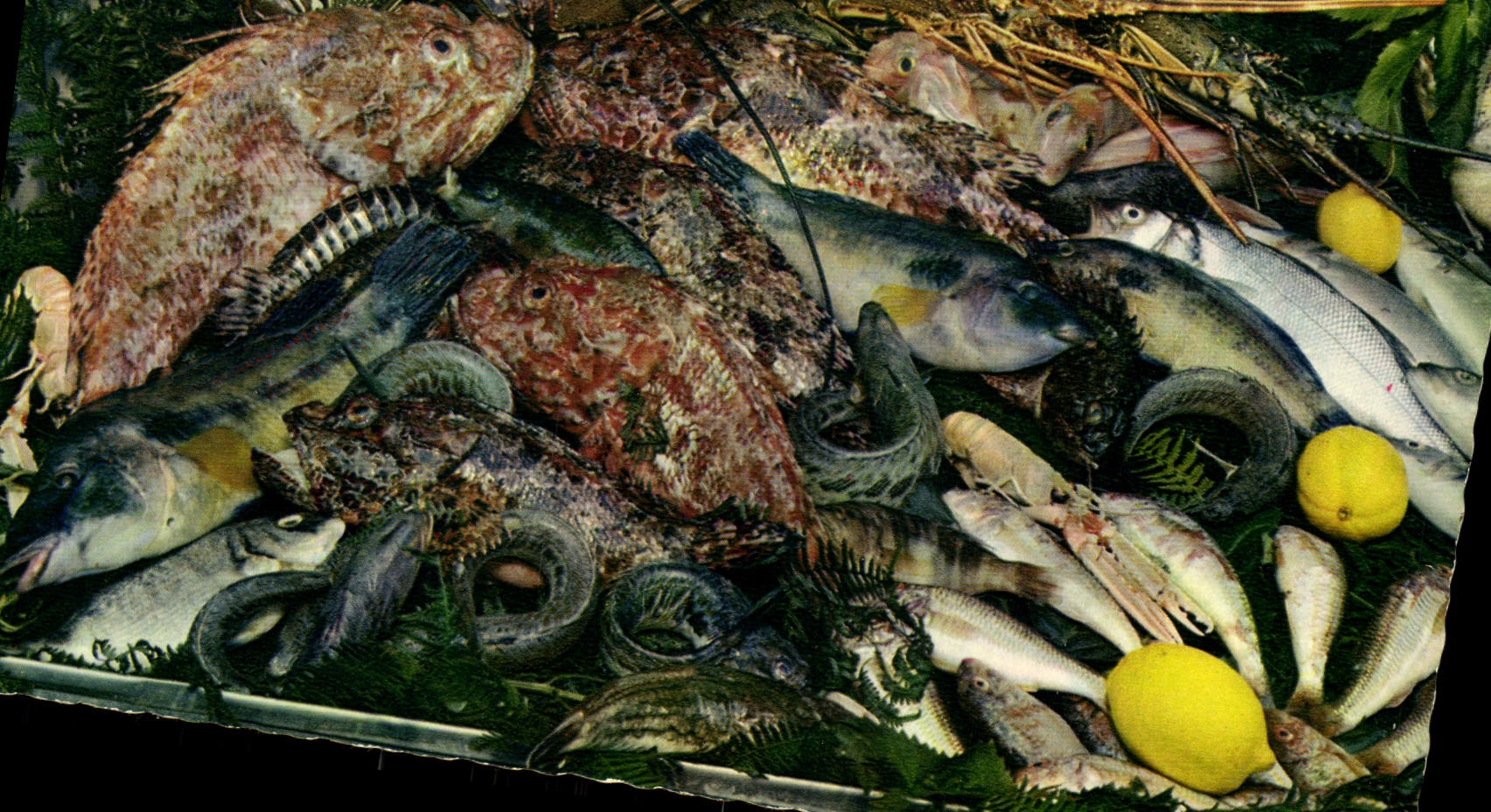 POSTAL MODERNA la dimensión de las reflexiones azules del buen Bouillabaisse