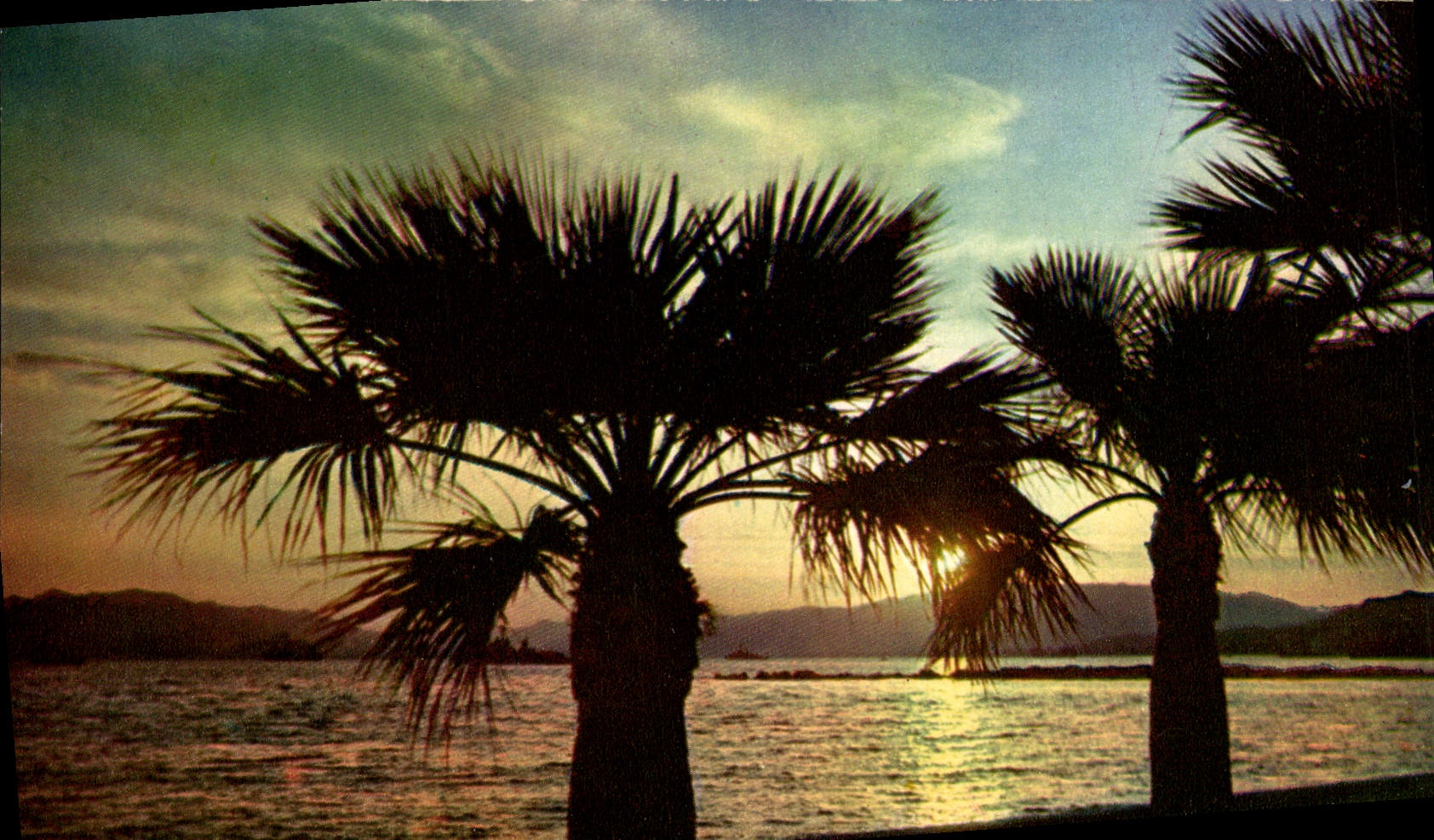 CPM La Cote d'Azur Miracle De la Nature Coucher de Soleil Sur La Cote