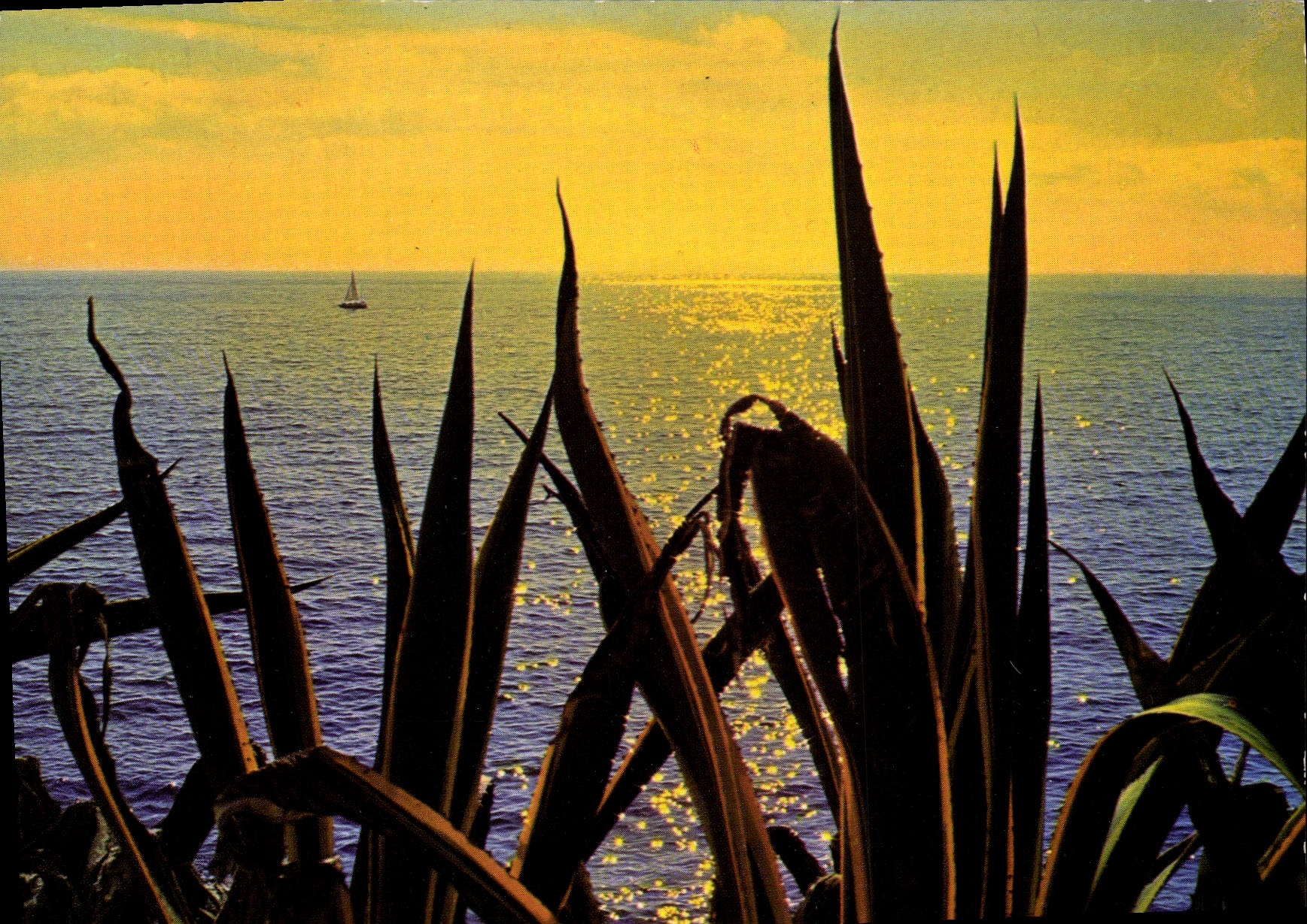 CPM Cote D'Azur Coucher de soleil