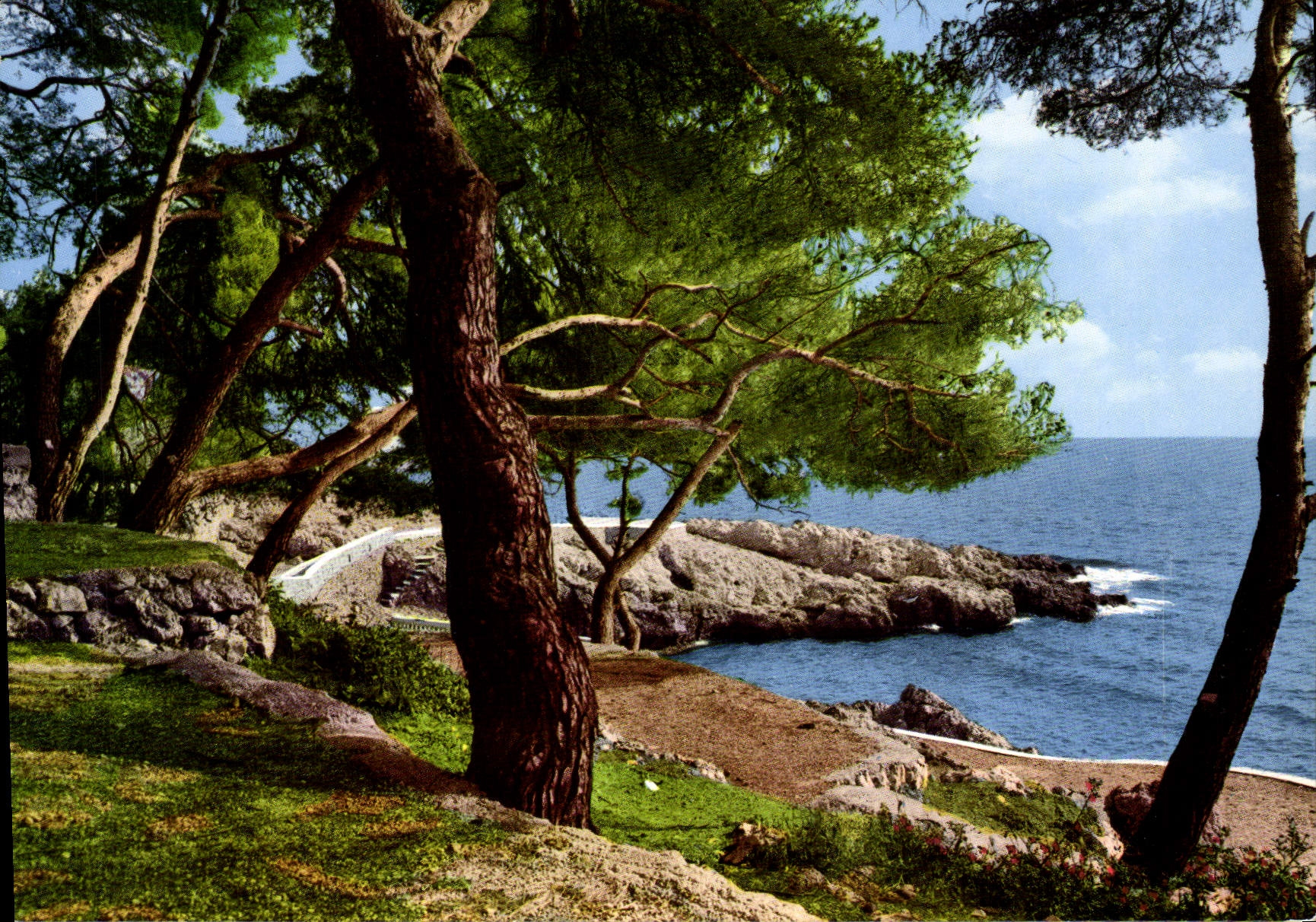 POSTAL MODERNA dimensión del bosque azul de la playa y del pino