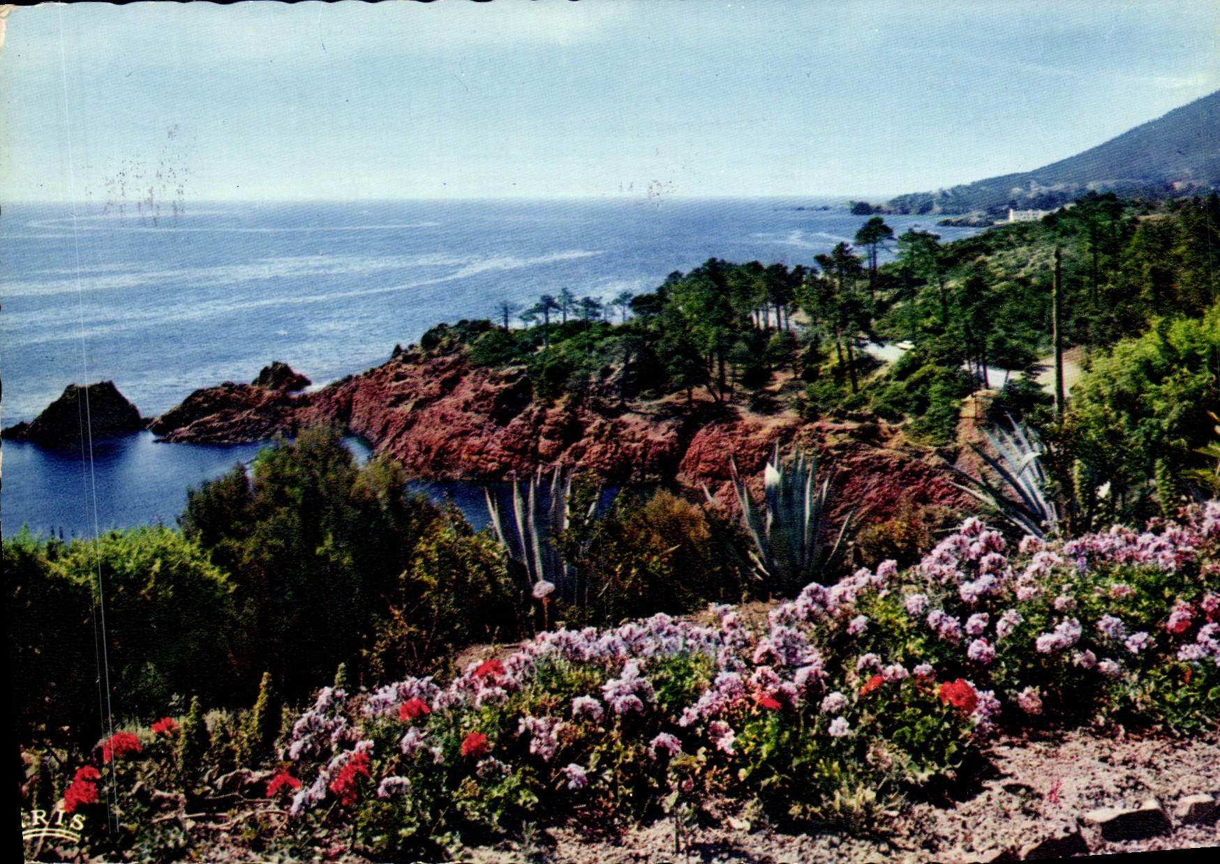 CPM Reflets De La Cote d'Azur La Cote Mediterraneenne
