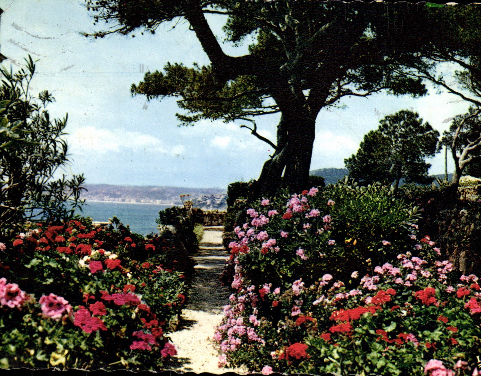 POSTAL MODERNA jardines florecidos