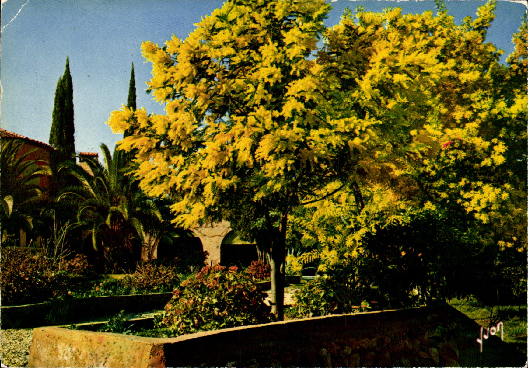 POSTAL MODERNA dimensión del ornamento azul dorado