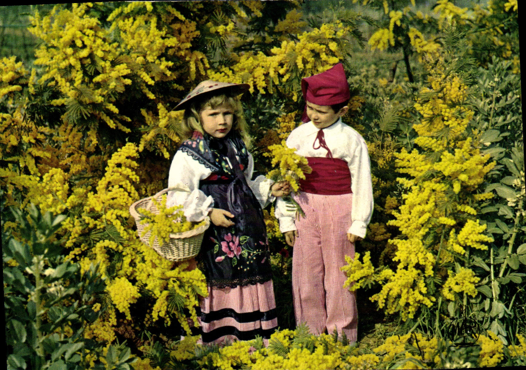 POSTAL MODERNA dimensión del azul en los niños de los Mimosas