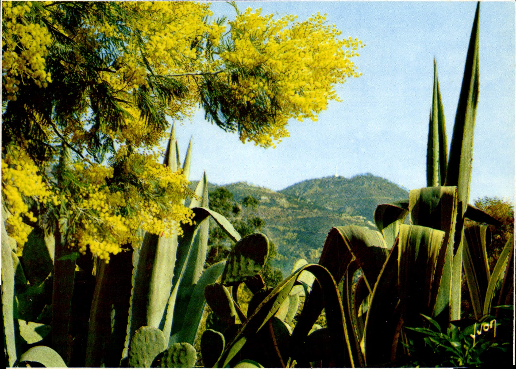 POSTAL MODERNA dimensión de las flores azules