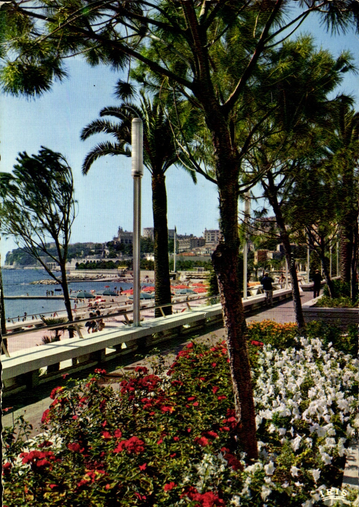 CPM Cote D'Azur Monte Carlo Les parterres fleuris de l'avnue Princesse Grace