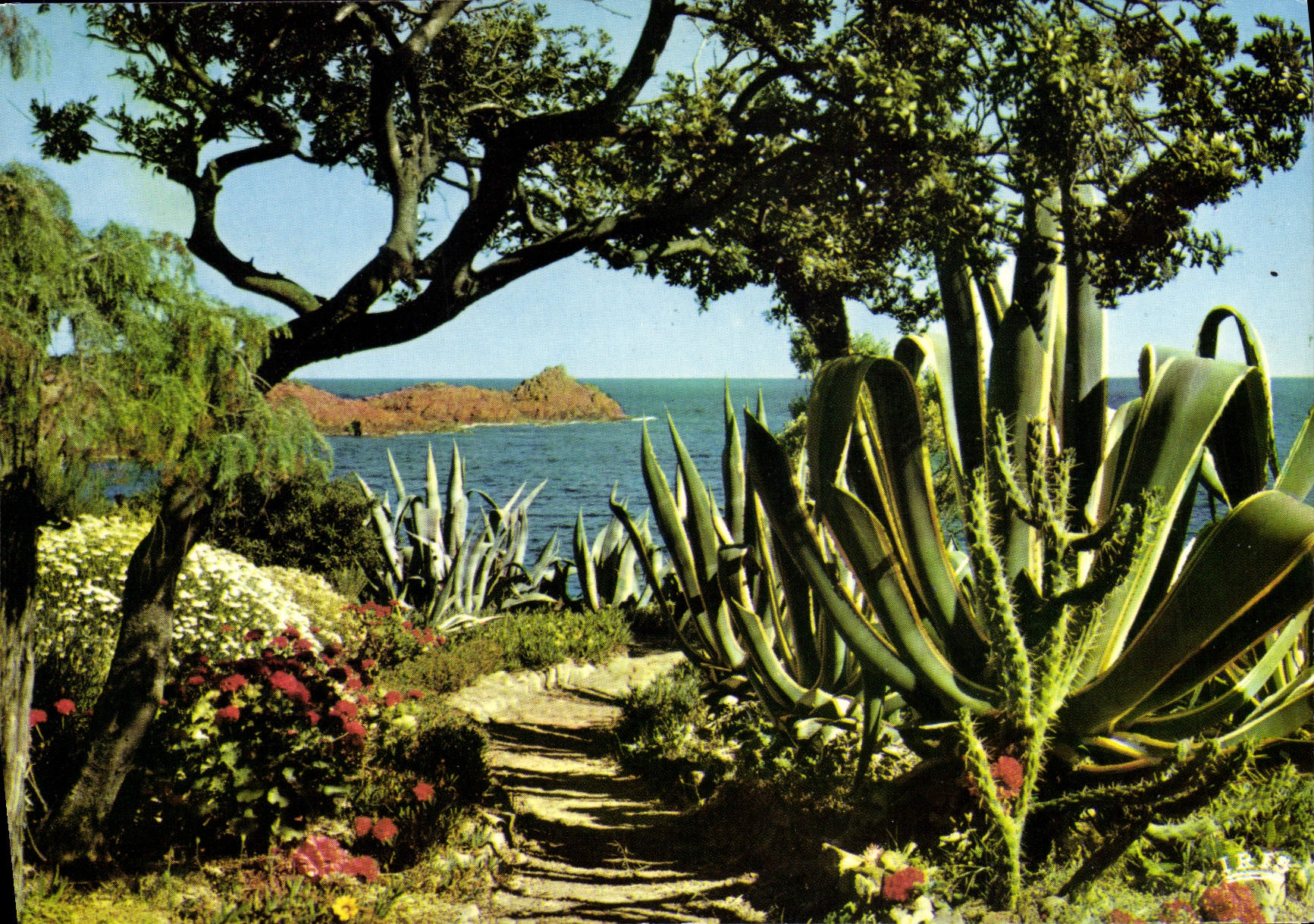 CPM Reflets De La Cote D'Azur