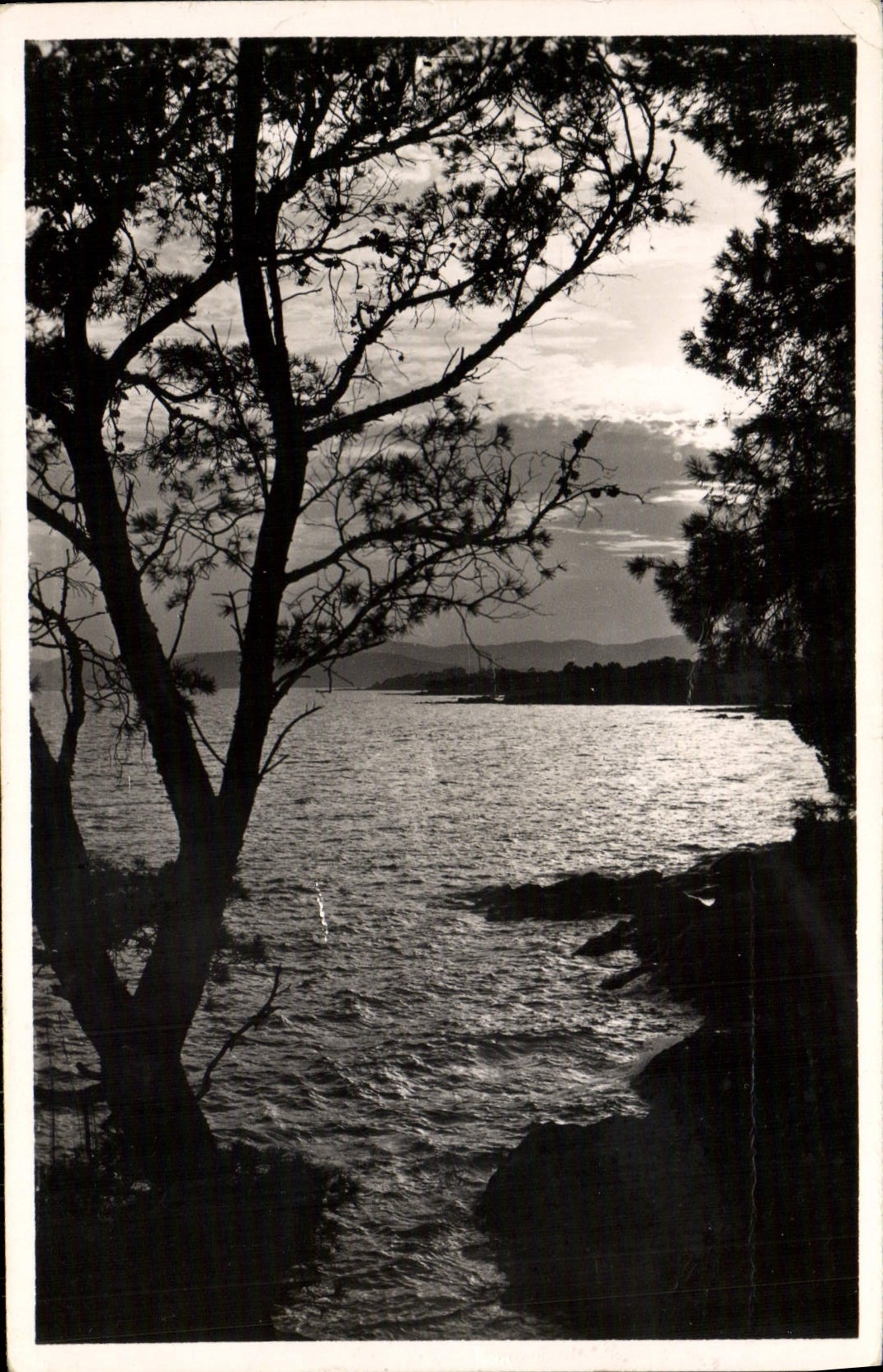 CPM La Cote D'Azur Crepuscule