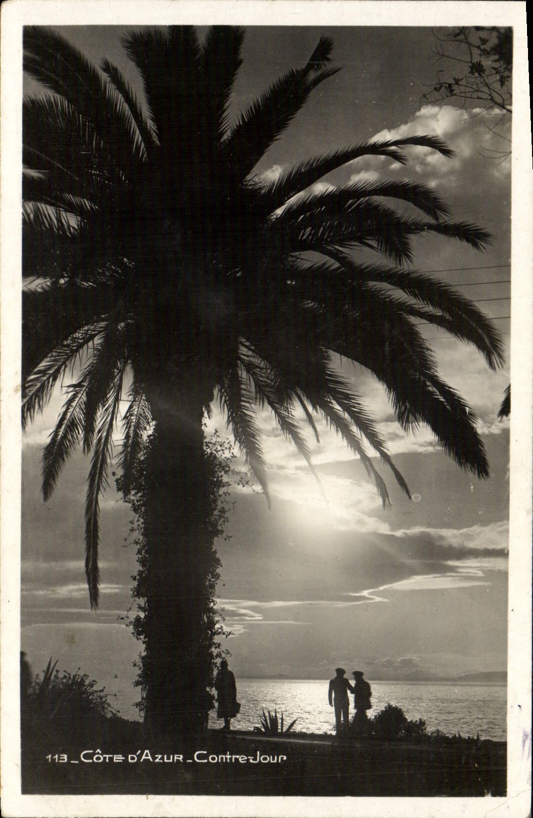 POSTAL MODERNA la dimensión del azul contra día de la palmera