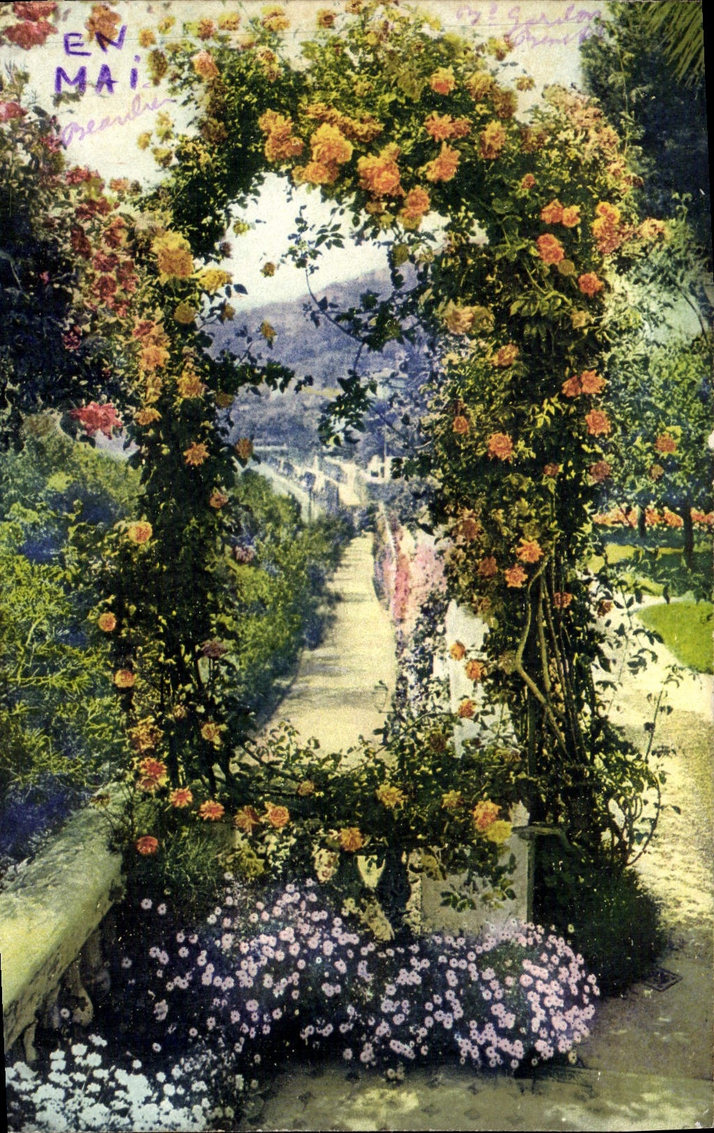 CPM La Cote D'Azur Jardin Fleuri