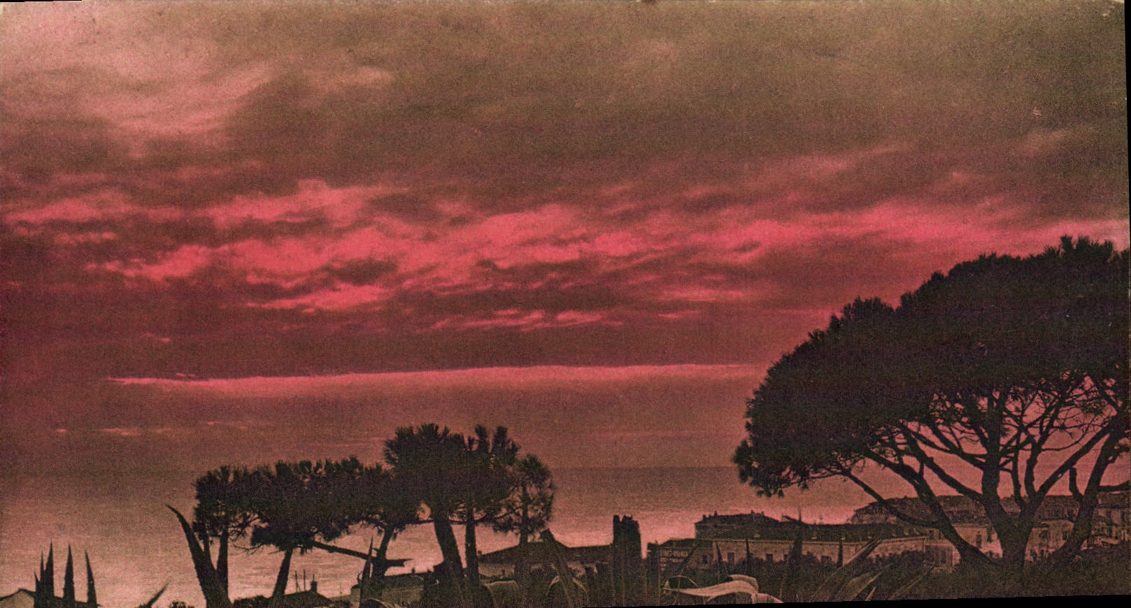 CPA Flore Artistique Au Bord de la Mer