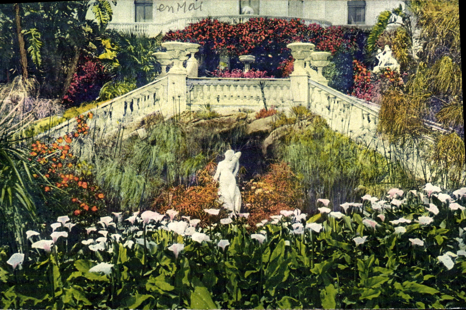 CPA La Cote D'Azur Un Coin De Jardin Fleuri