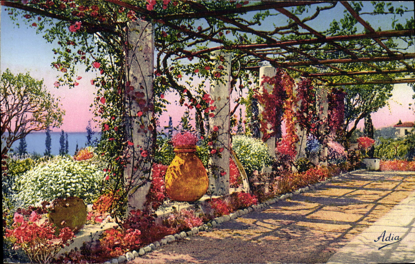 CPA La Cote D'Azur Pergola Fleurie