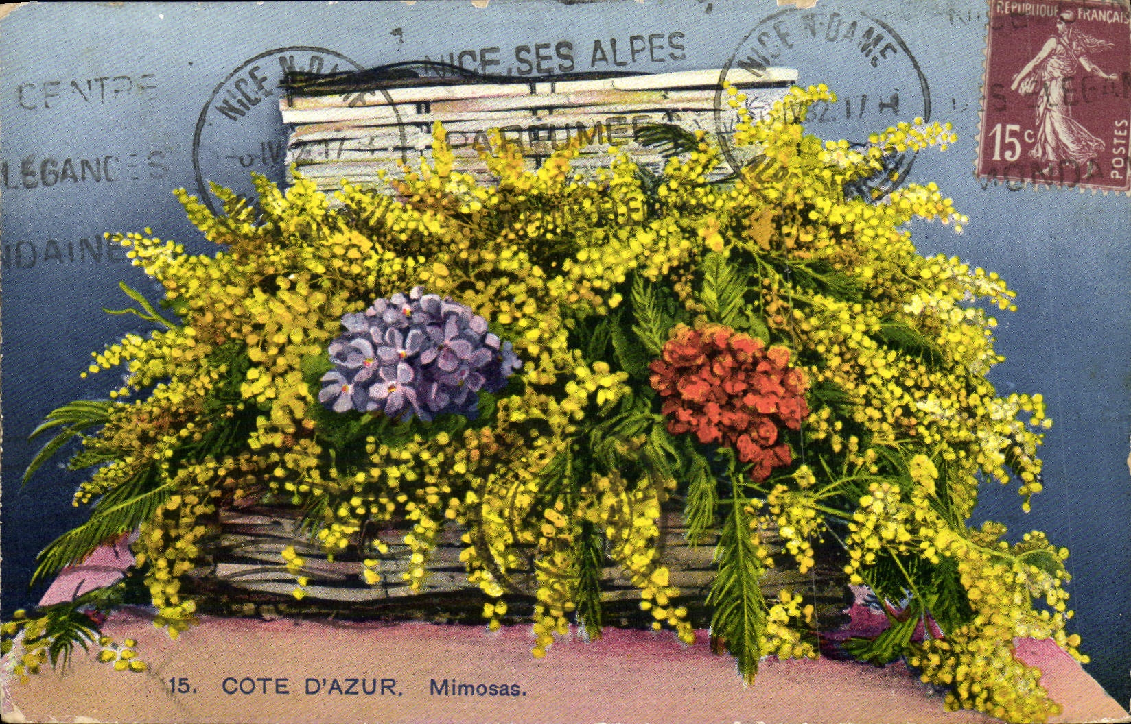 CPA Cote D'Azur Mimosas Fleurs 