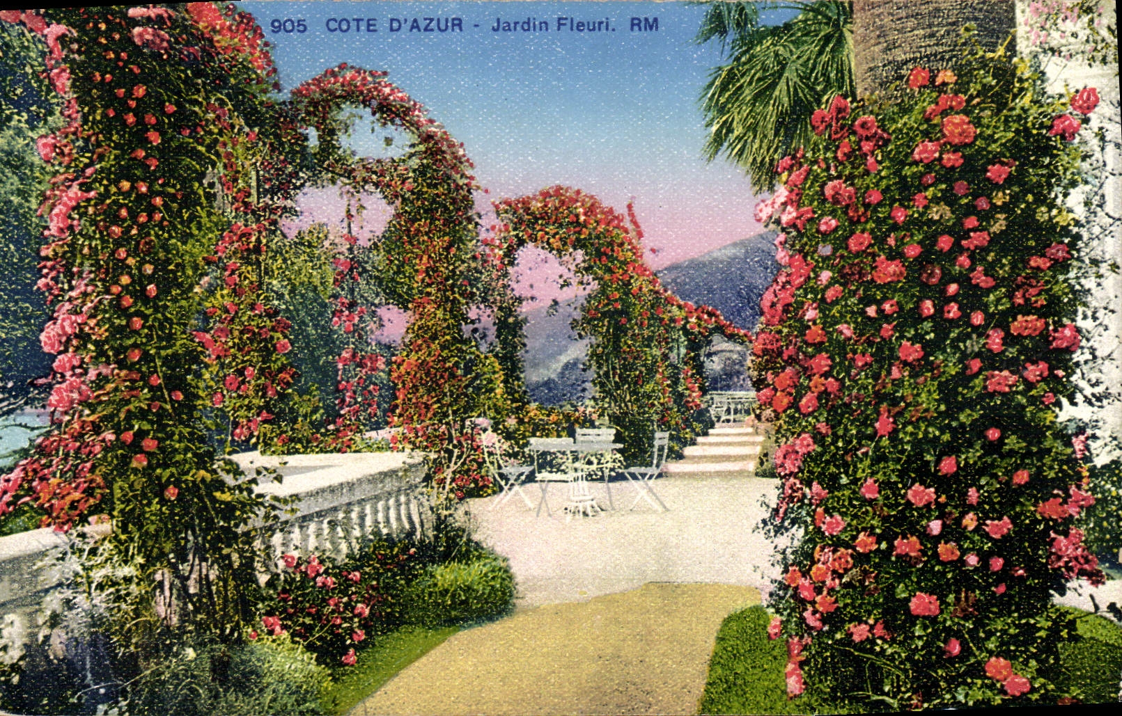 CPA Cote D'Azur Jardin Fleuri