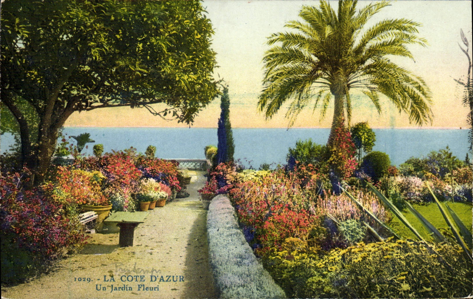 CPA Cote D'Azur Jardin Fleuri 
