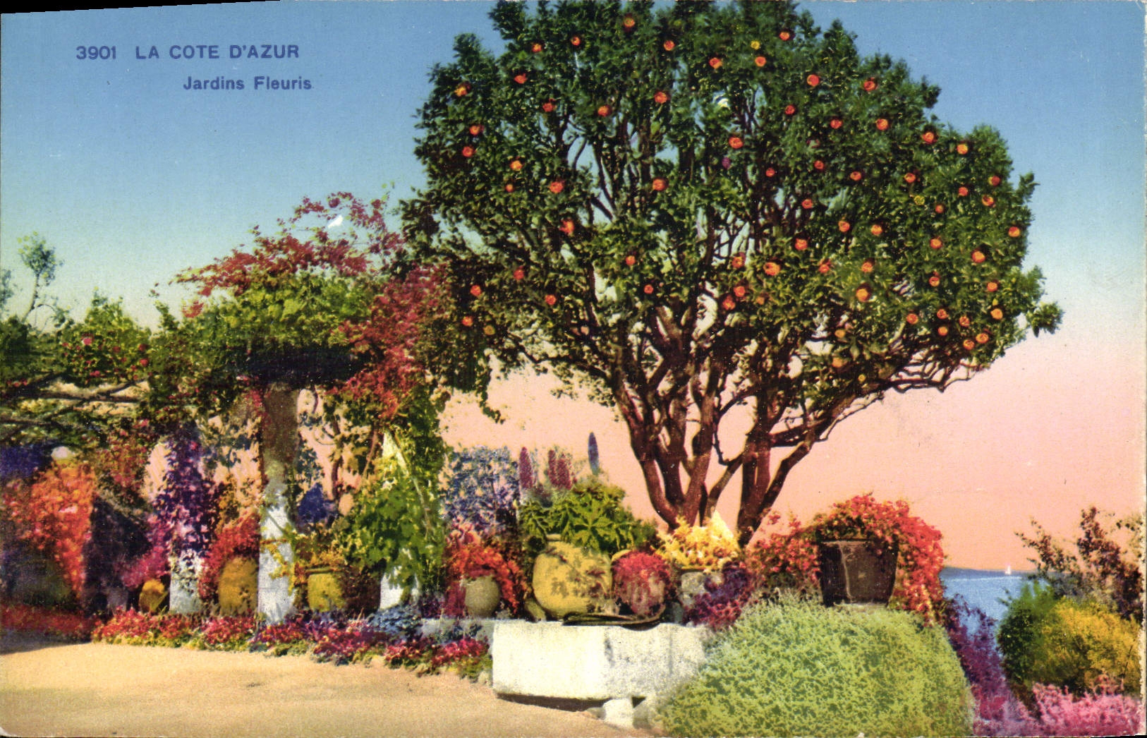 CPA Cote D'Azur Jardin Fleuri 