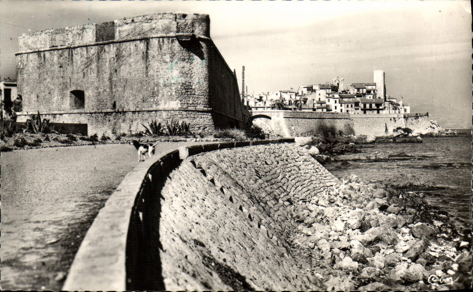 CPA Antibes La Citadelle et la Vieille Ville