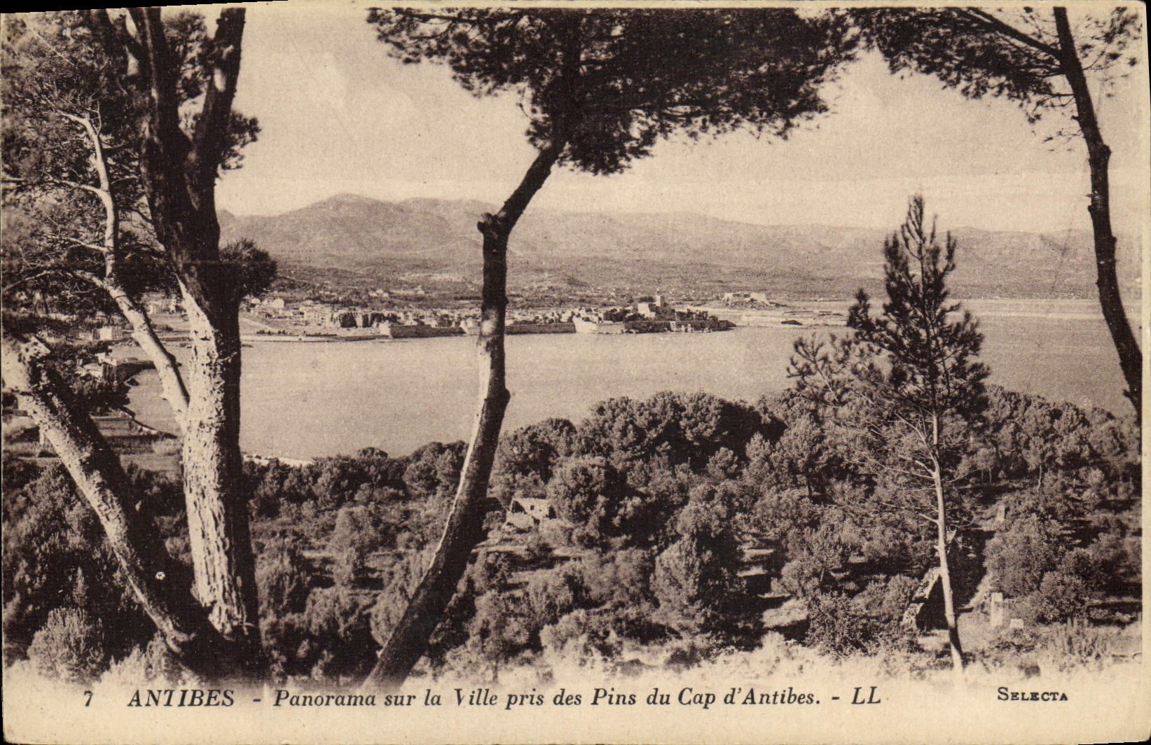 VINTAGE POSTCARD Antibes Panorama On the City Taken of the Pines of the Cape