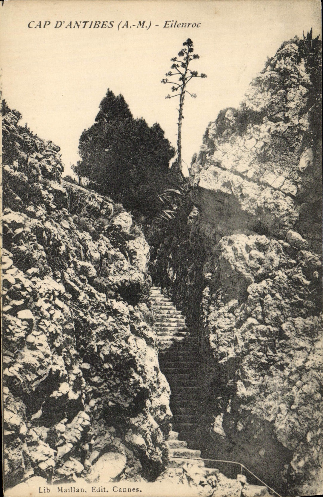 POSTAL Antibes Eilenroc de la VENDIMIA