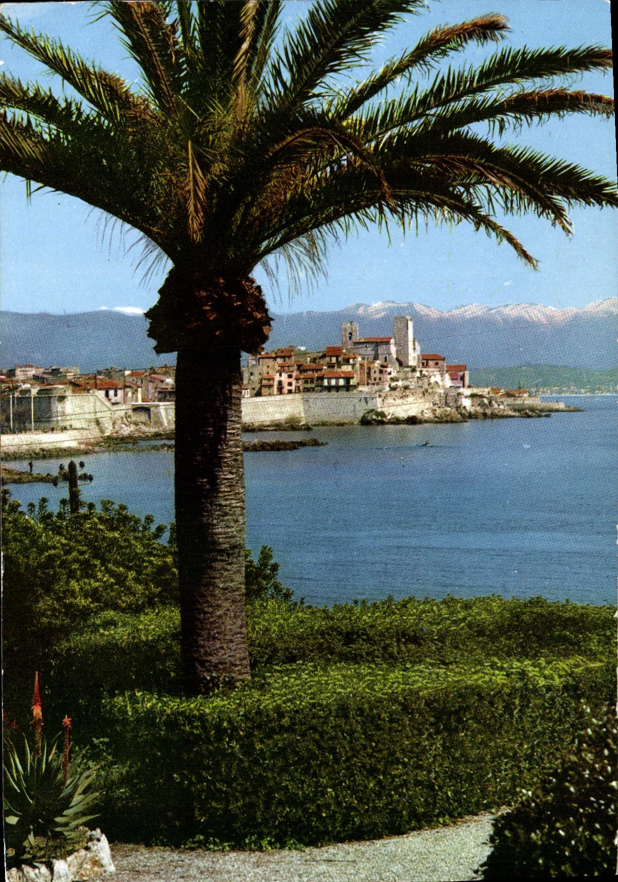 CPA Antibes Cote D'Azur French Riviera