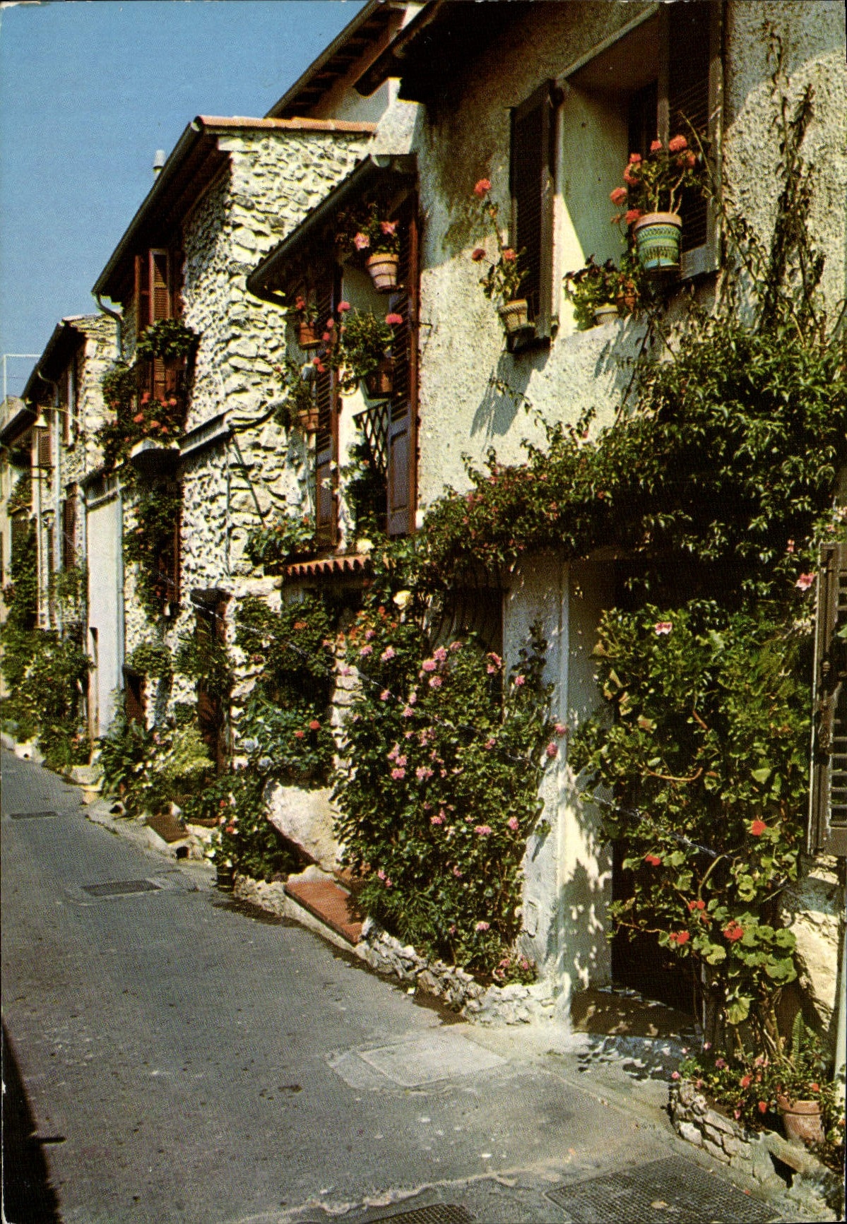 CPA Antibes Cote D'Azur Provence et les Vieilles rues fleuries
