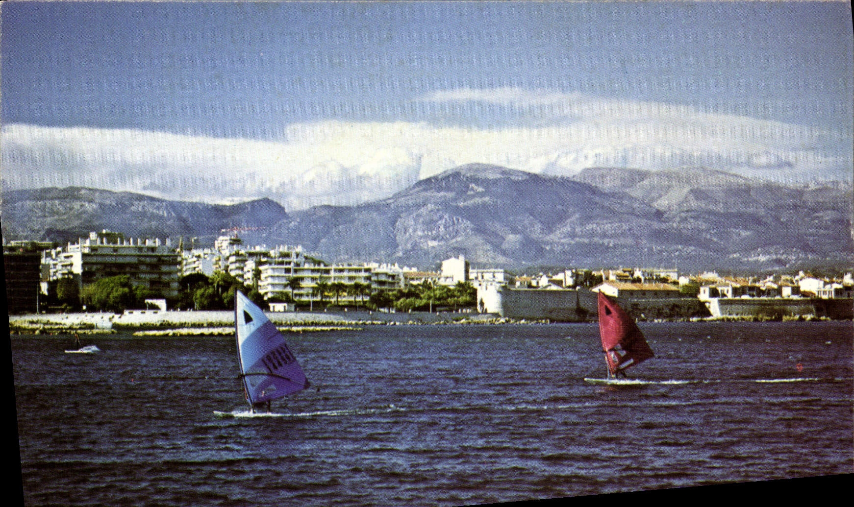 CPM Antibes Planches a Voile Devant la Ville