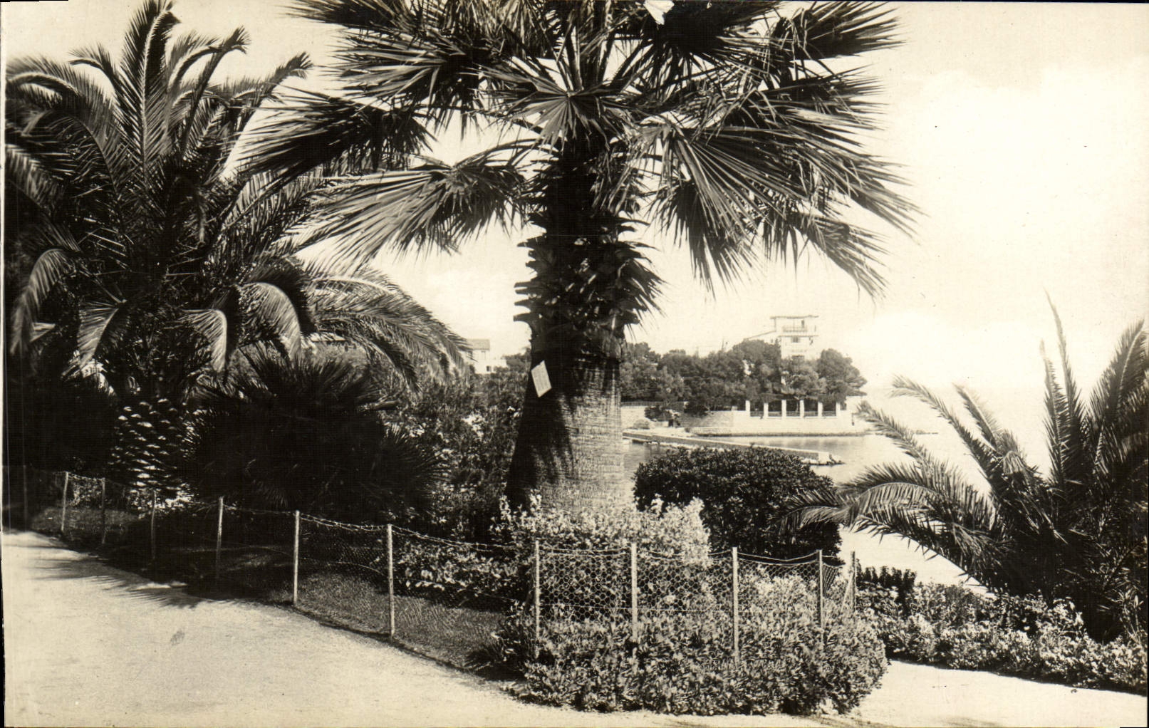 CPM Beaulieu Sur Mer Le Jardin Public