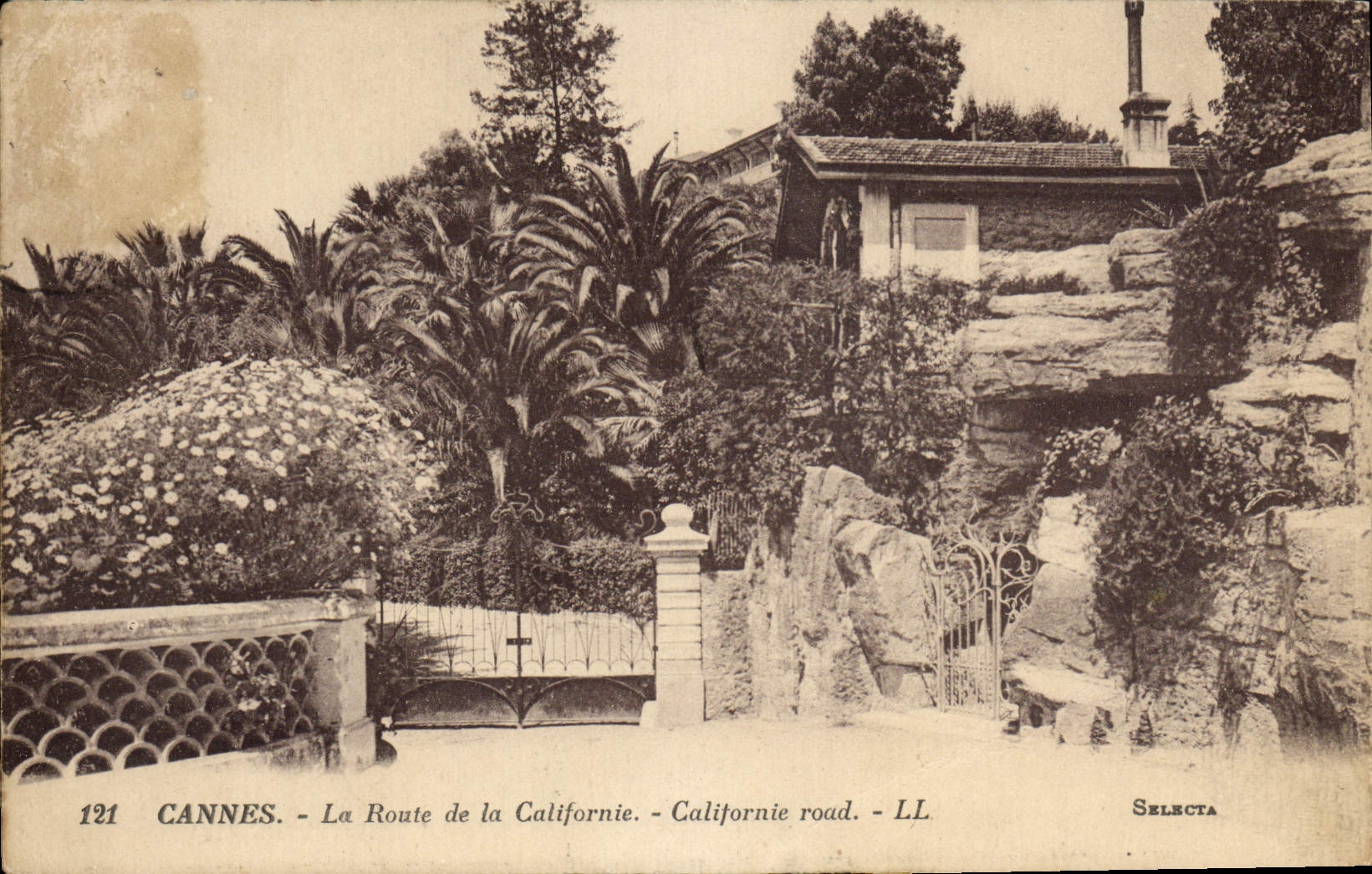 CPA Cannes La Route de la Californie