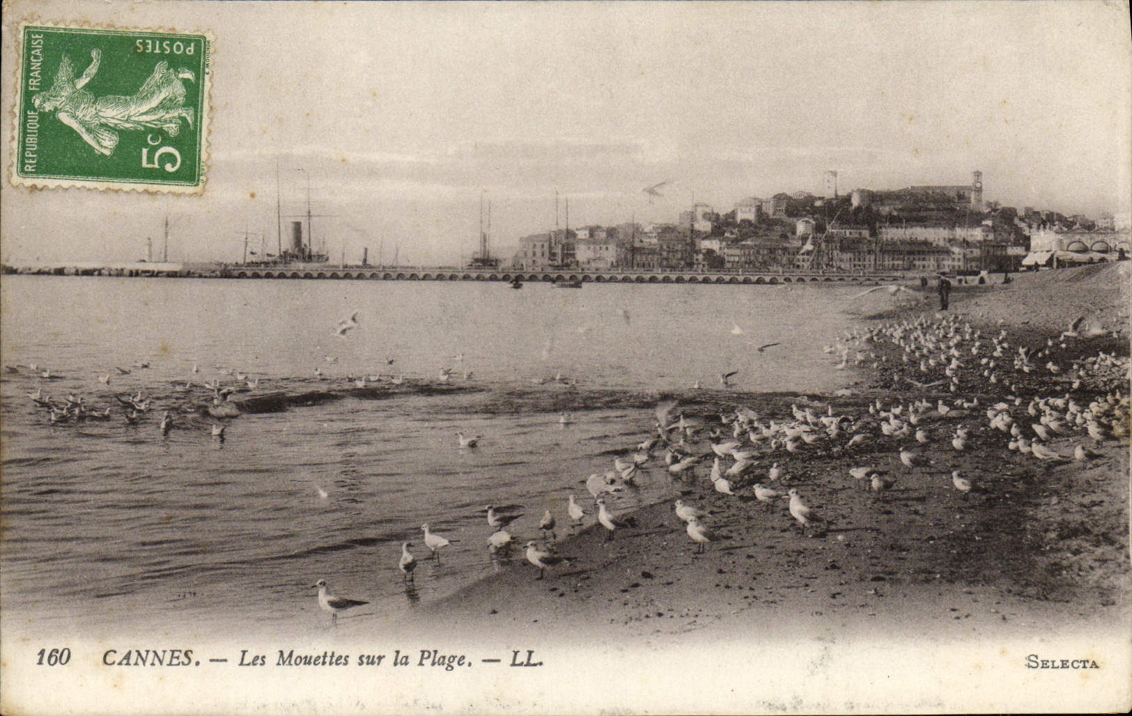 CPA Cannes Les Mouettes Sur La Plage