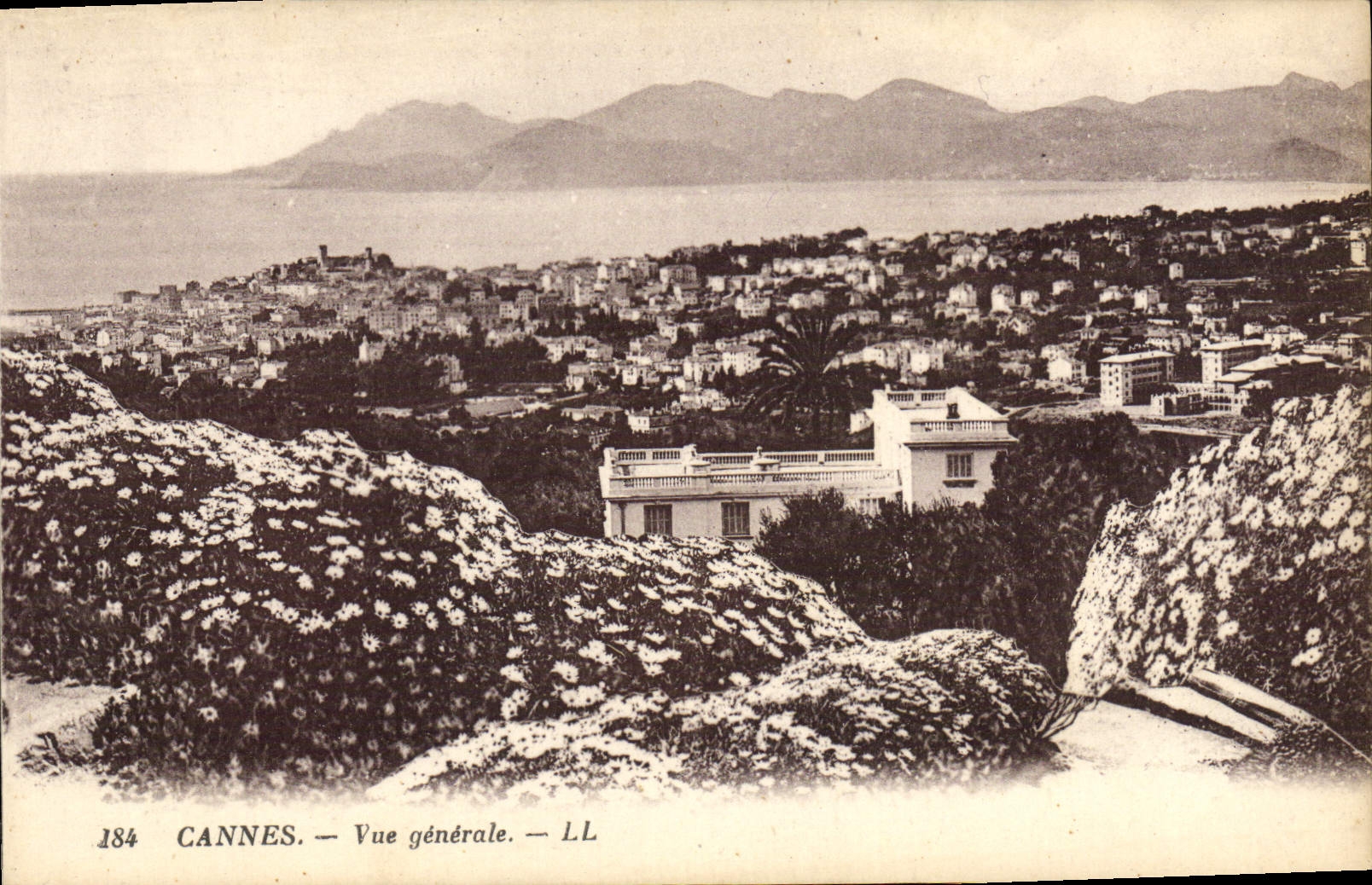 CPA Cannes Vue Generale