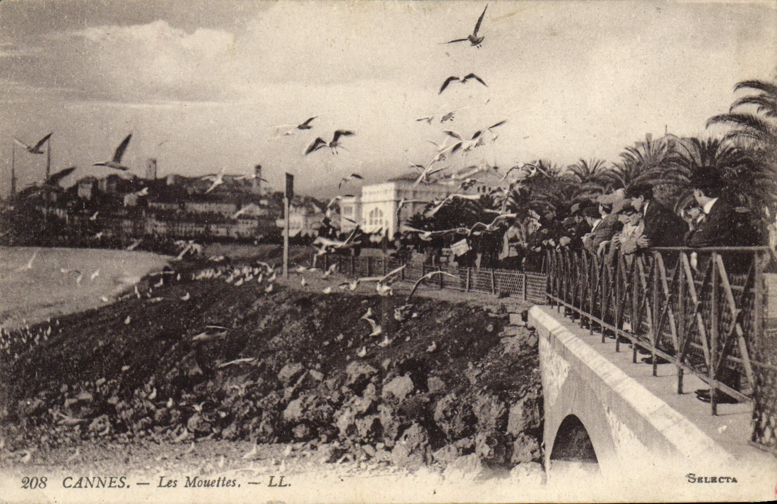 CPA Cannes Les Mouettes 
