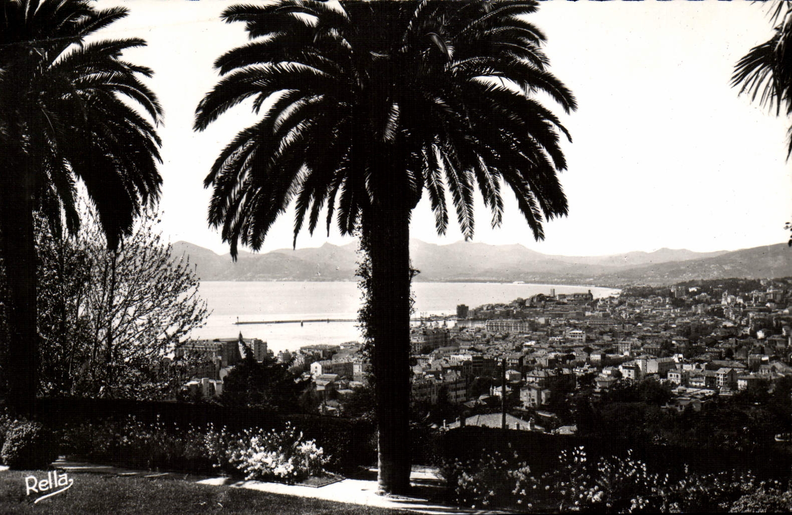 CPM Cannes Vue Generale