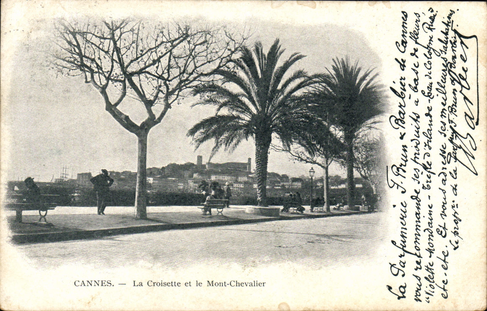 CPA Cannes La Croisette et le Mont Chevalier