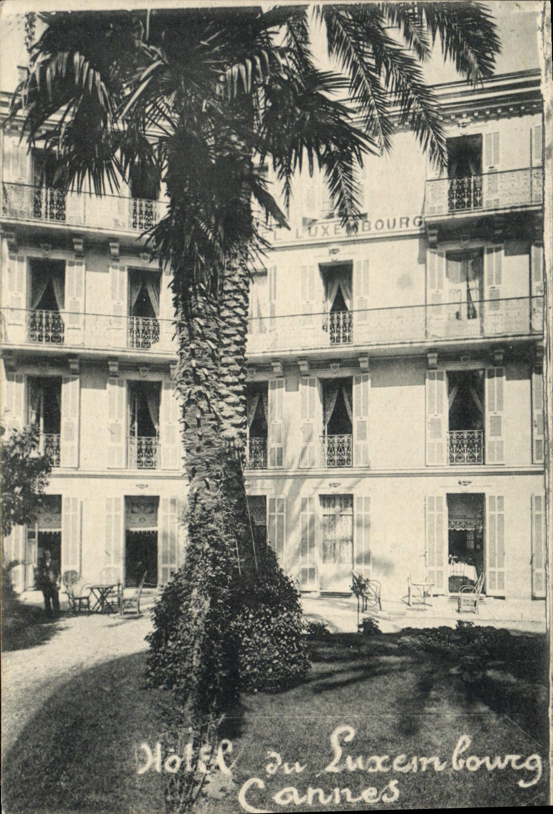 VINTAGE POSTCARD Cannes Hotel of Luxembourg