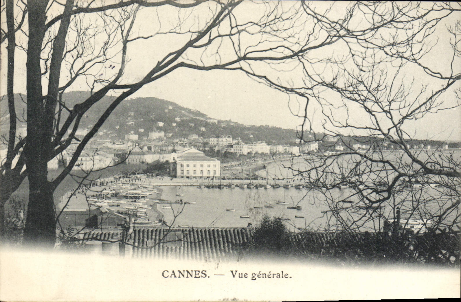 CPA Cannes Vue Generale