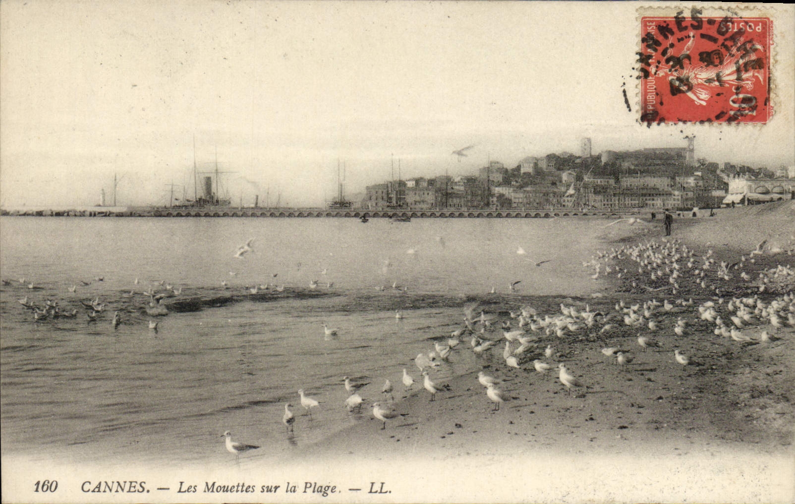 CPA Cannes Les Mouettes Sur la Plage