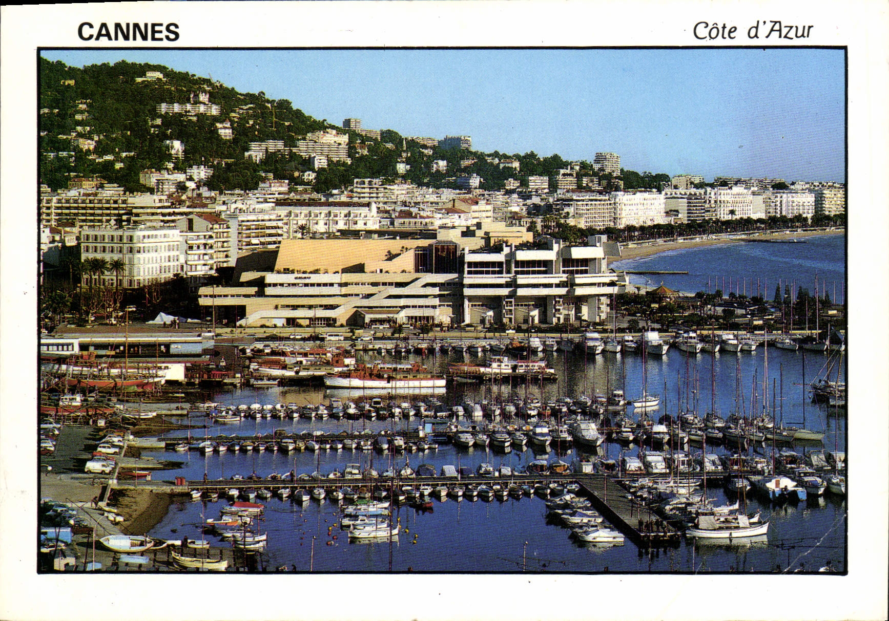 MODERN CARD Cannes the Palate of the Festivals and Congers