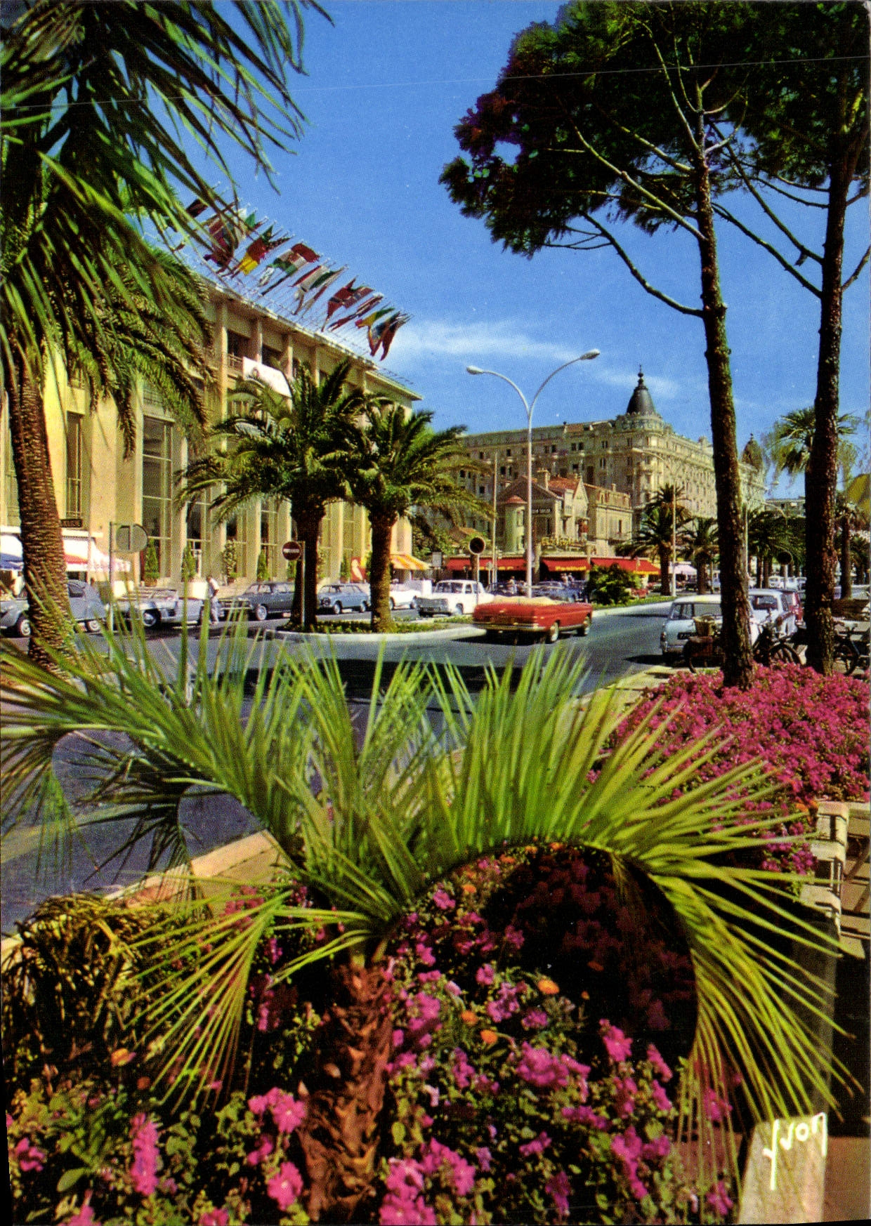 MODERN CARD Cannes the Small cross the Palate of the Festival