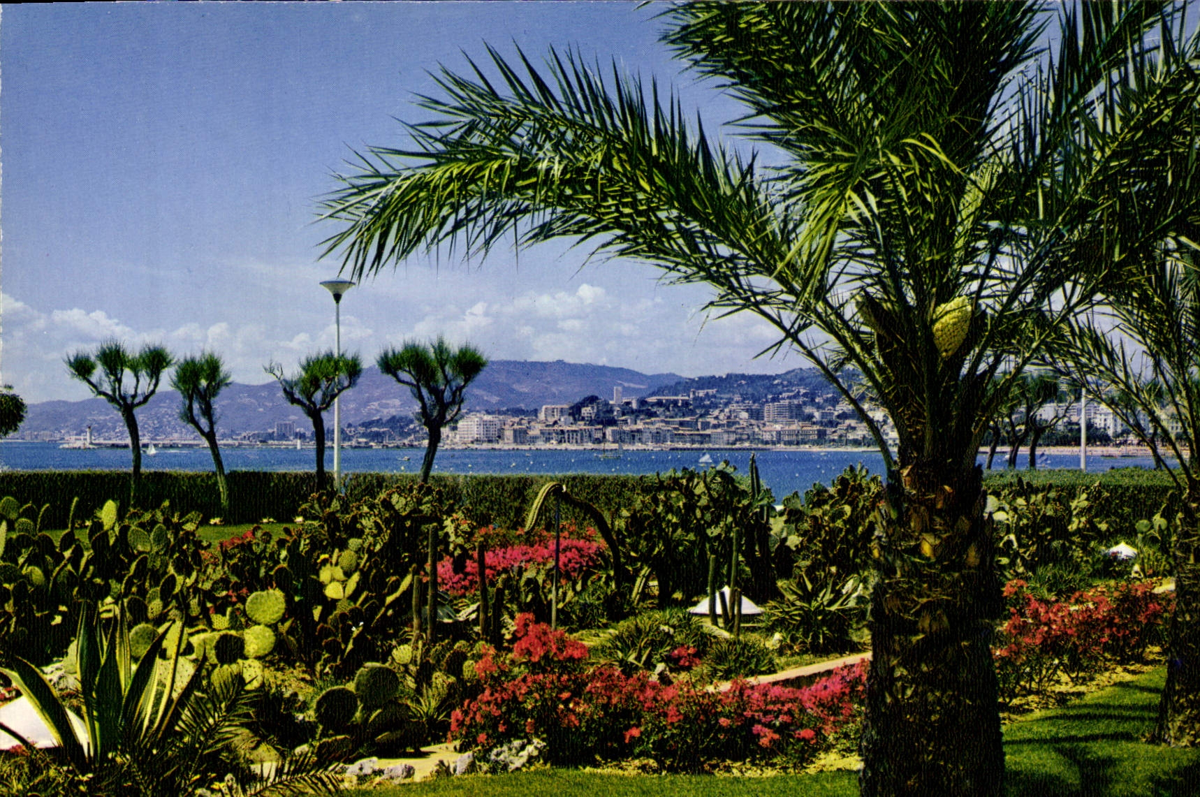 CPM Cannes Vue Generale Sur Le Suquet 