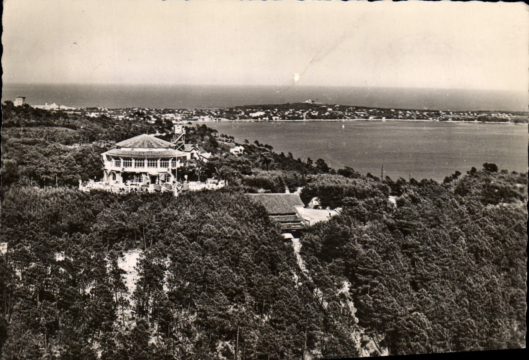 CPM Cannes Port en Arriere Plan la Croisette