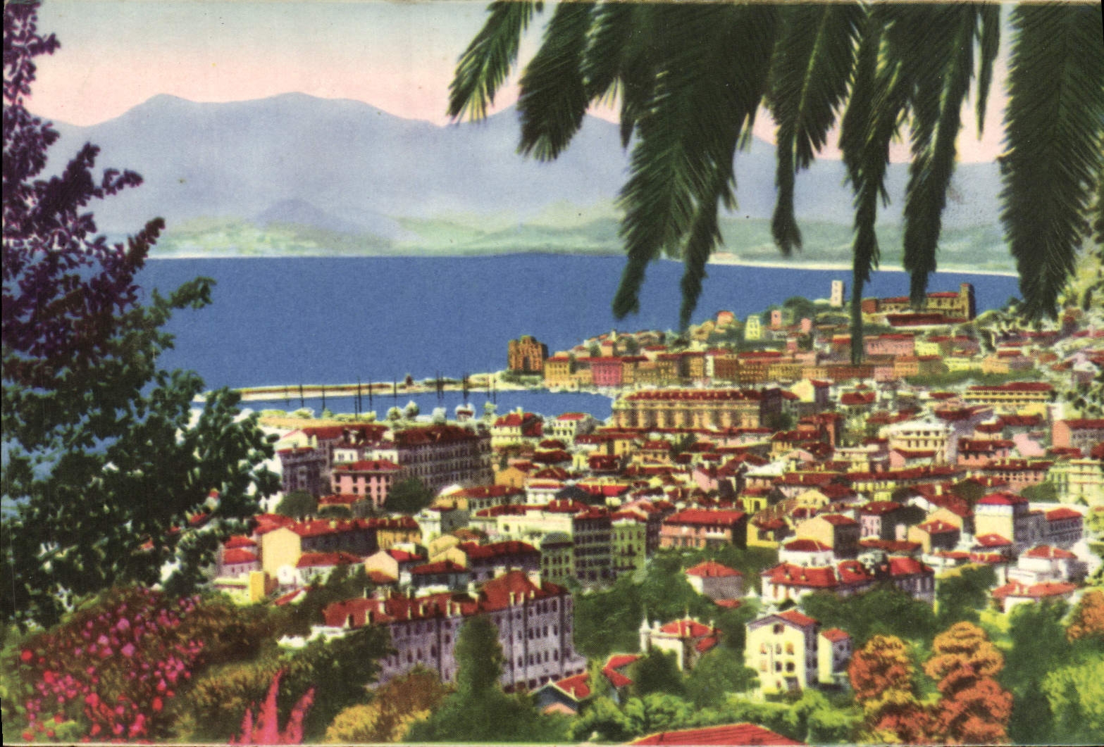 CPA Cannes Vue Generale Prise de la Californie