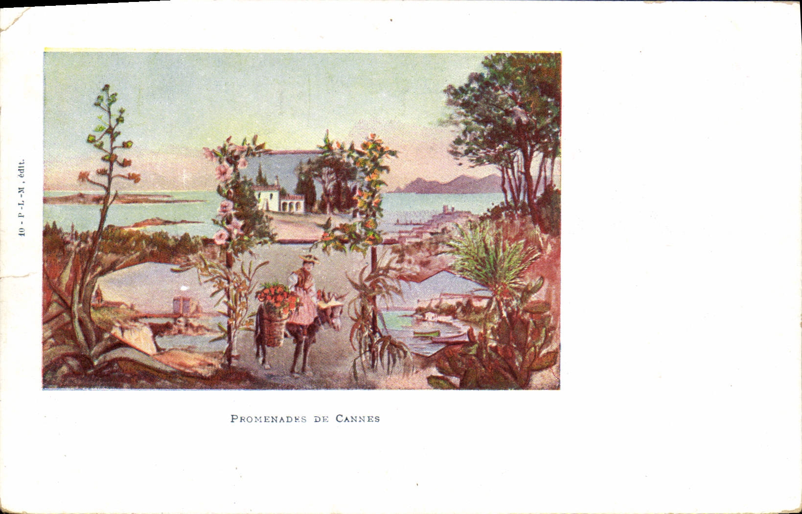VINTAGE POSTCARD Cannes Walk Ass Mule